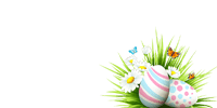 peketec - the trading community