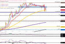 L&S DAX(1).png