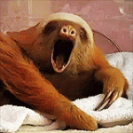 1Mv.gif