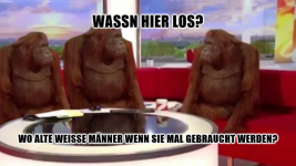 orangutan interview.png