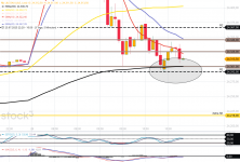 L&S DAX.png