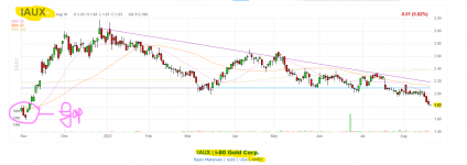 chart iau in usdollar.png