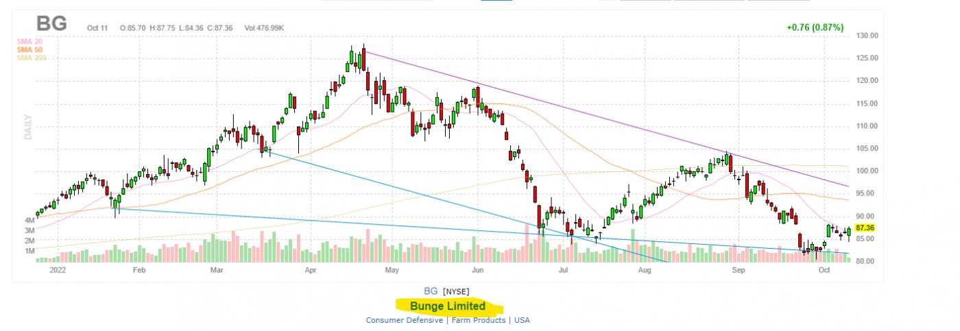 4996_bunge_chart_1.jpg